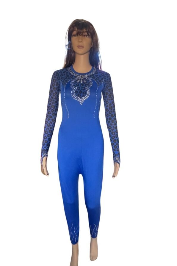 Buy Ombre Leotard Online