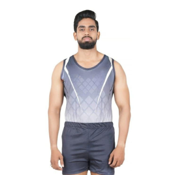 Buy Ombre Leotard Online
