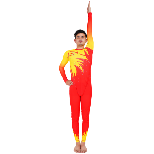 Buy Ombre Leotard Online