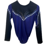 Sapphire Glow Leotard