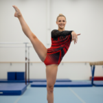 Competitive, High Embellished, Printed Red Velvet Leotard With Power Net Sleeves For Gymanstics, Mllakhamb, Aerial, Dance, Skating & Yoga