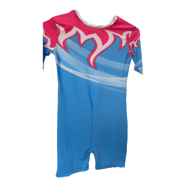 Buy Ombre Leotard Online