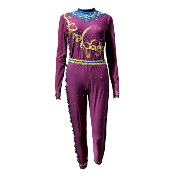 Buy Ombre Leotard Online