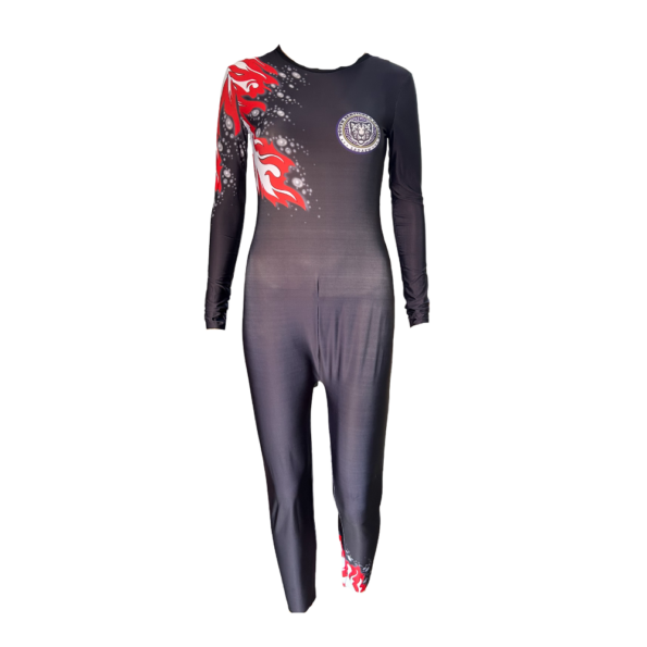 Buy Ombre Leotard Online