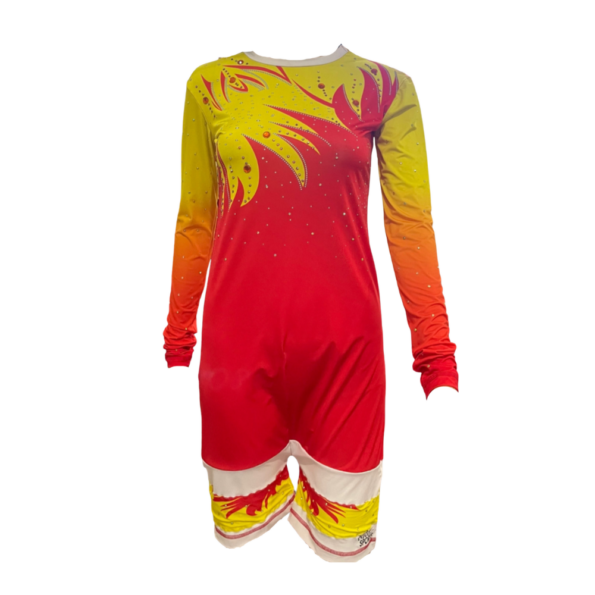 Buy Ombre Leotard Online