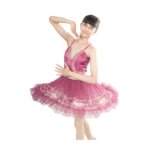 Plum Gold Grace Tutu Dress Multi Layer Mesh With Embroidery And Stone Embellishments