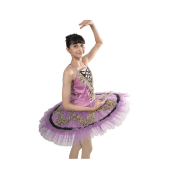 Royal Purple Tutu Dress Multi Layer Mesh With Black And Gold Embroidery And Stone Work