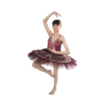 Wine Elegance Tutu Dress Multi Layer Mesh With Bronze Lace And Stone Embellishments