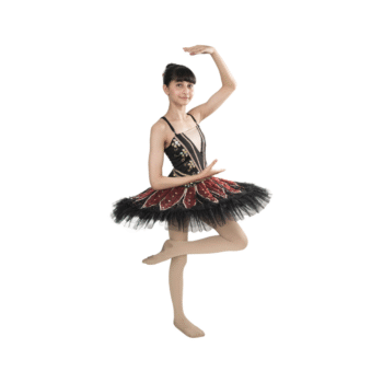 Black Rose Tutu Dress Multi Layer Mesh With Golden Applique And Stone Work