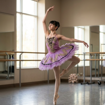 Royal Purple Tutu Dress Multi Layer Mesh With Black And Gold Embroidery And Stone Work