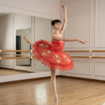 Red Majesty Tutu Dress Multi Layer Mesh With Gold Patch And Stone Embellishments